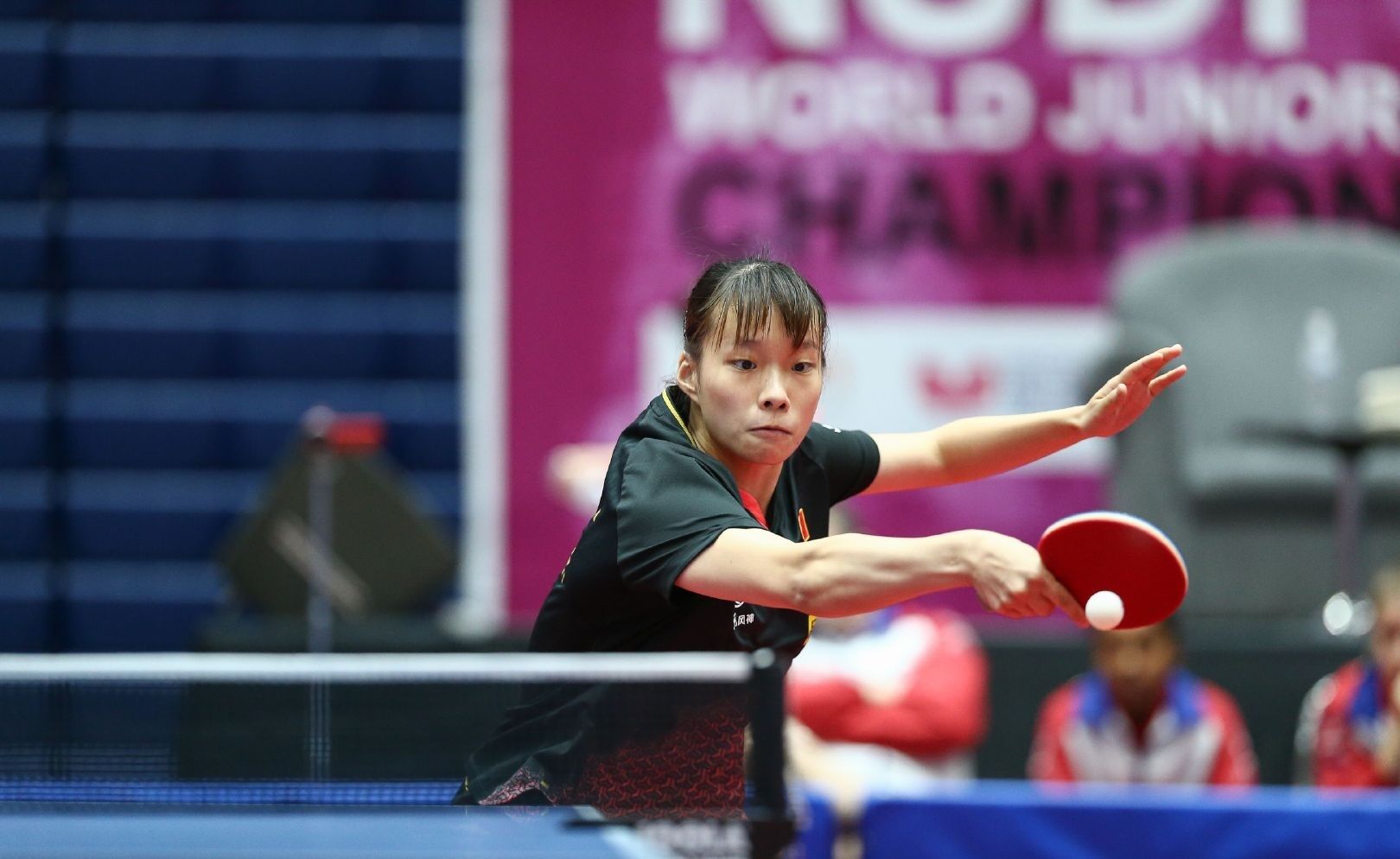 球职业联赛 球职业联赛