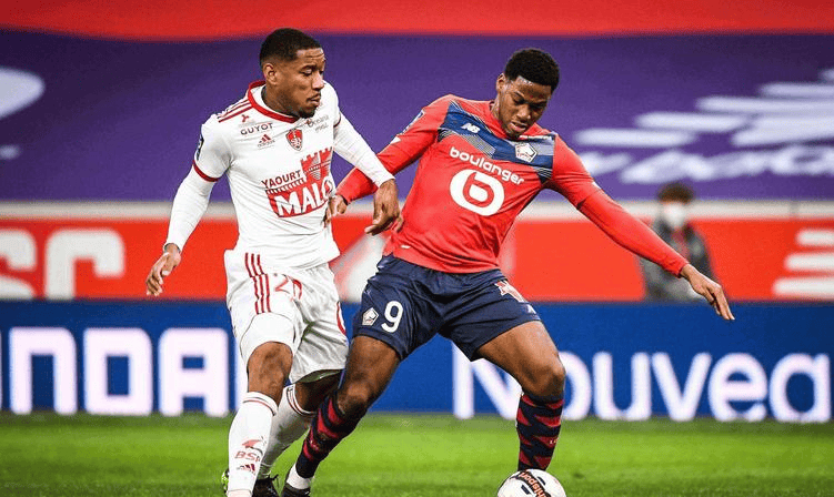 也不会松懈 也不会松懈