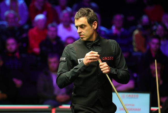 球竞争的激 球竞争的激